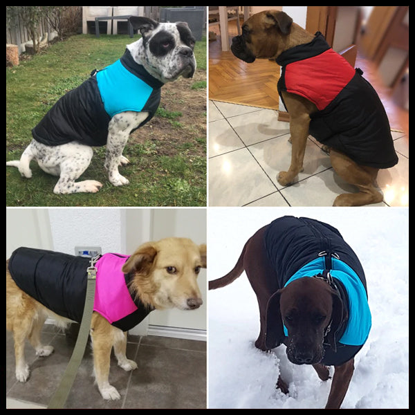 Waterproof & Windproof Dog Vests