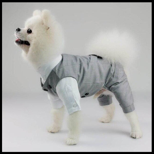 Grey Formal Dog Romper & Vest