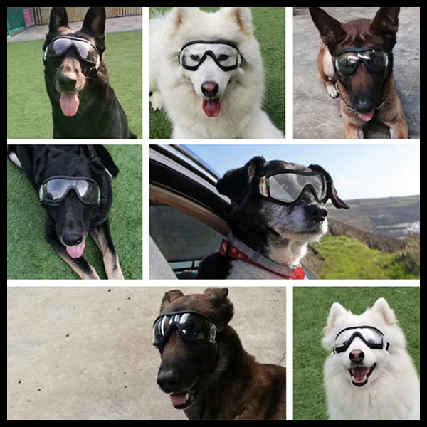 Protective Dog Glasses