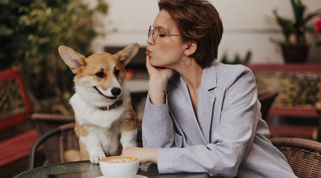 Finding Dog Friendly Coffee Shops Near You