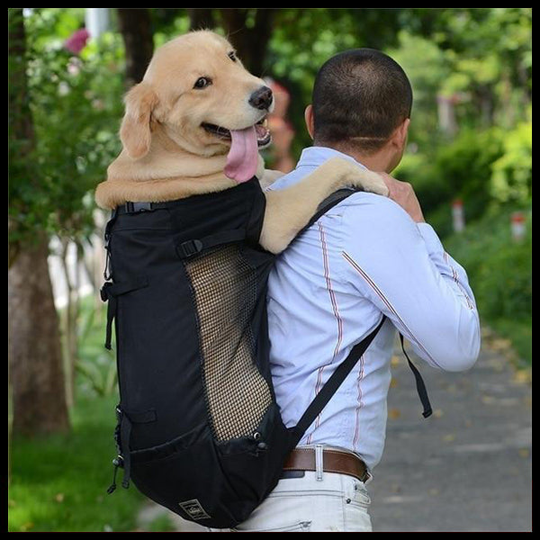 Carry Your Dog Back Pack