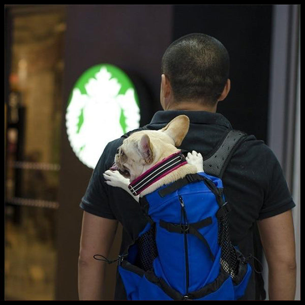 Carry Your Dog Back Pack