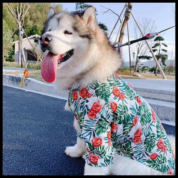 Hawaiian Flower Time Big Dog Shirt
