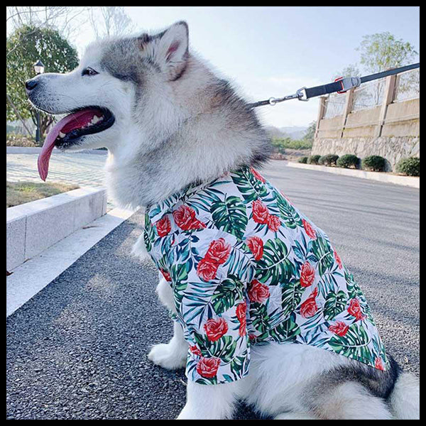 Hawaiian Flower Time Big Dog Shirt