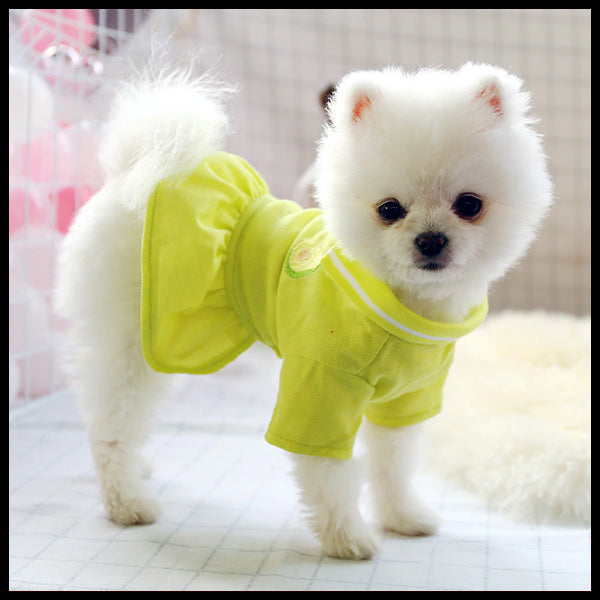 Polo Casual Dog Dress