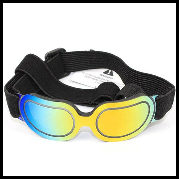 Chrome Cool Dog Glasses