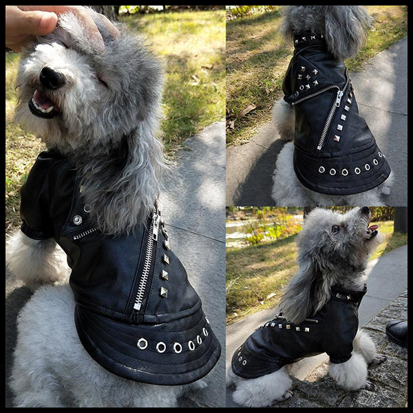 Cool Leather Dog Jacket