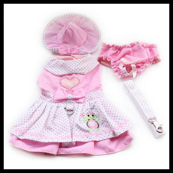 A Day at the Park Turtle Love Dog Dress Set