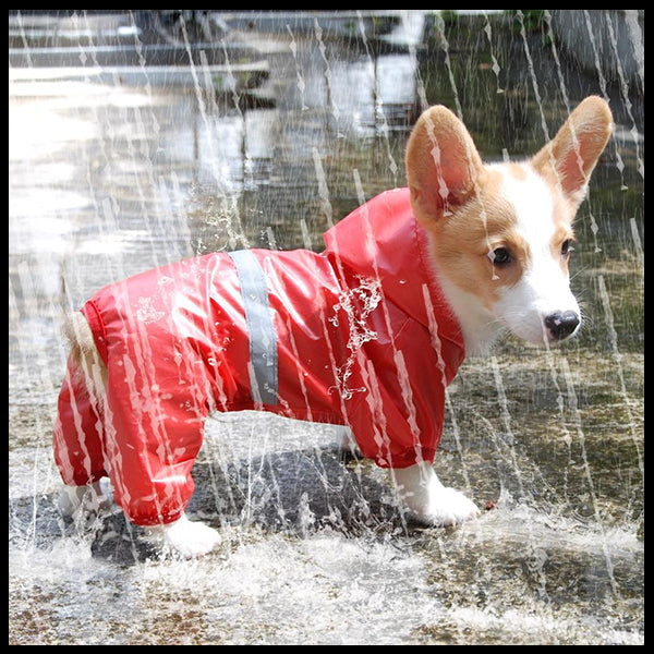Dog Rain Coat Romper