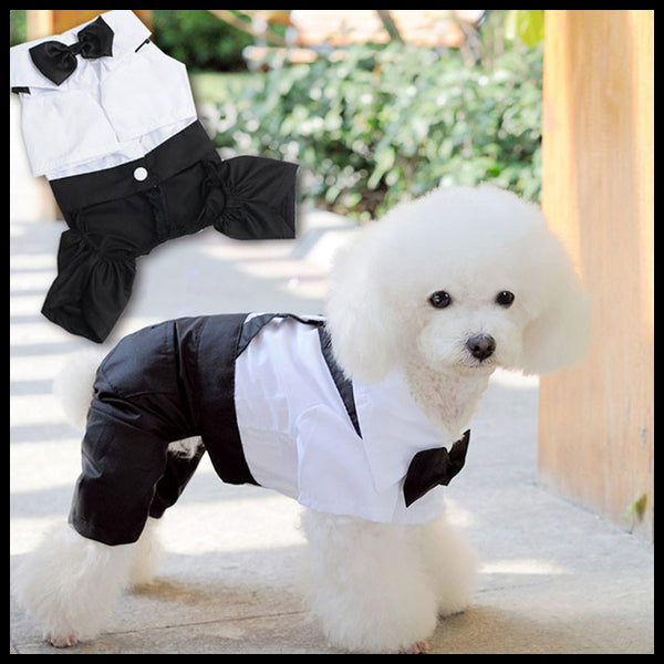 Dog Suit Romper