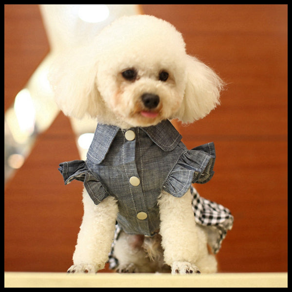 Frilly Country Dog Dress