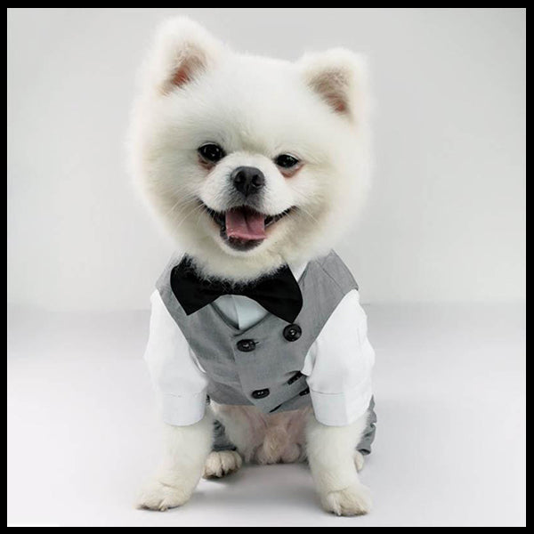Grey Formal Dog Romper & Vest