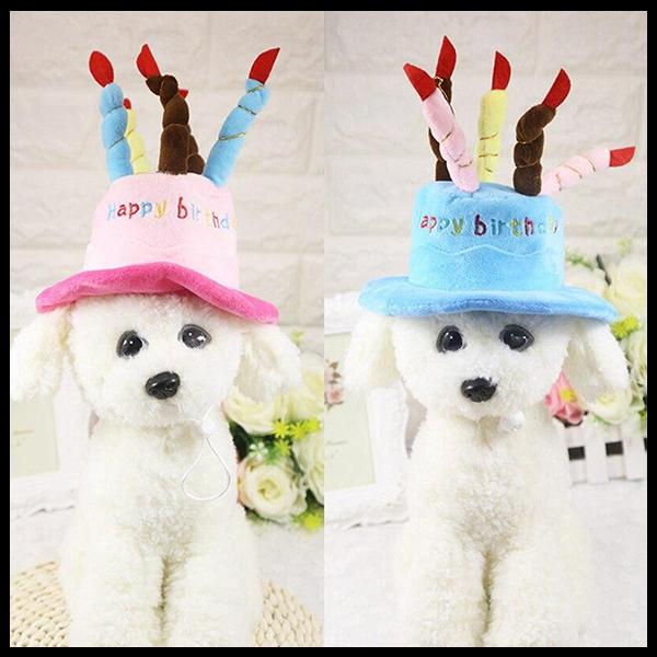 Happy Birthday Cake Dog Hat