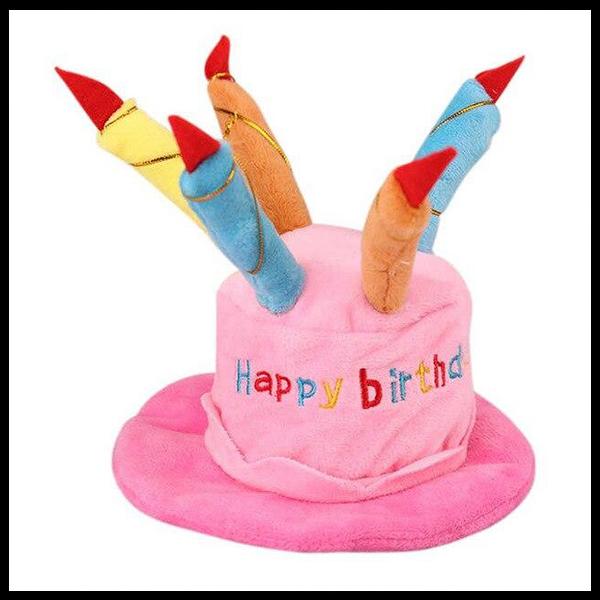 Happy Birthday Cake Dog Hat
