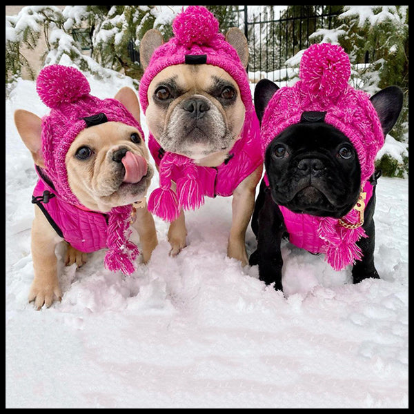 Marbled Pink Knitted Warm Dog Beanie