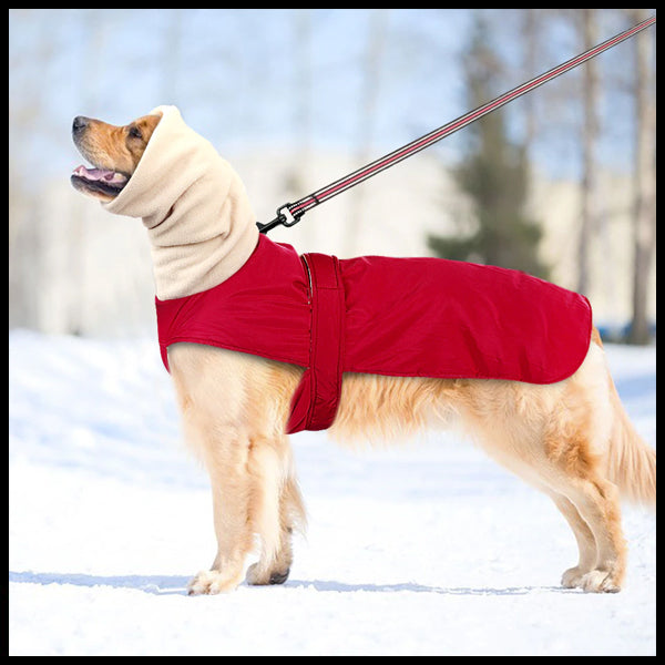 Neck Hooded Dog Vest