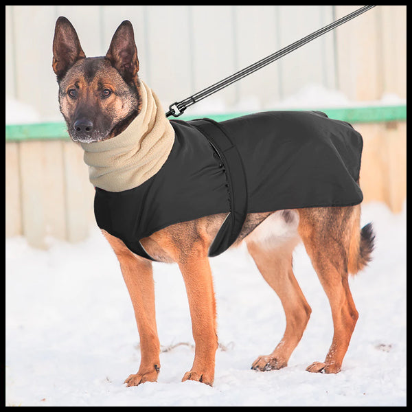 Neck Hooded Dog Vest