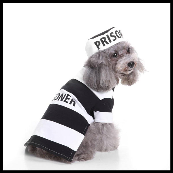 Prison Dog Costume