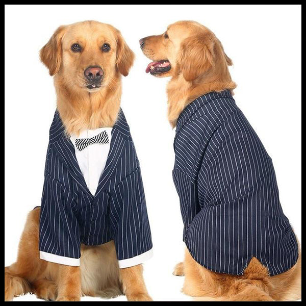 Pin Stripe Formal Dog Tuxedo