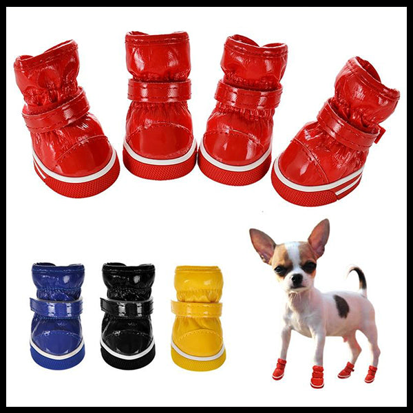 Small Dog Shoes
