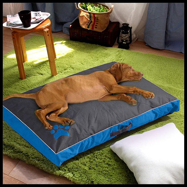 Soft & Comfortable Plush Dog Bed