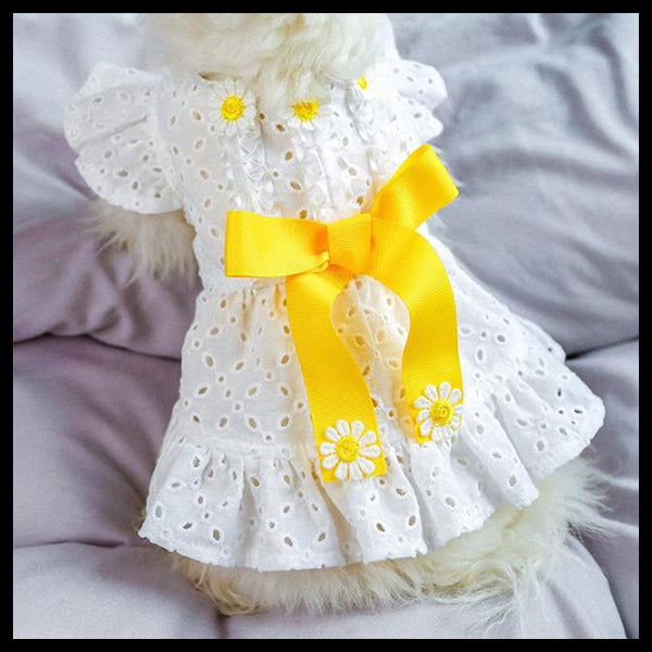 Daisies & Sunshine Dog Dress