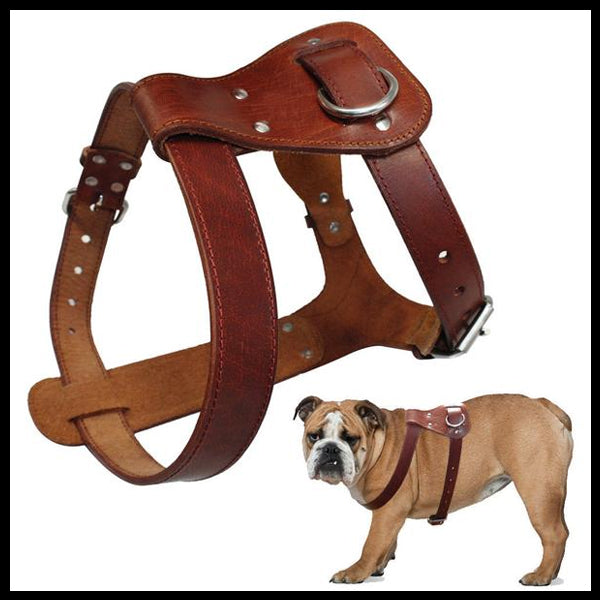 Genuine Brown Leather Harness