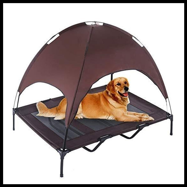 Elevated Bed with Tent