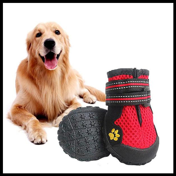 Outdoor Dog Boots